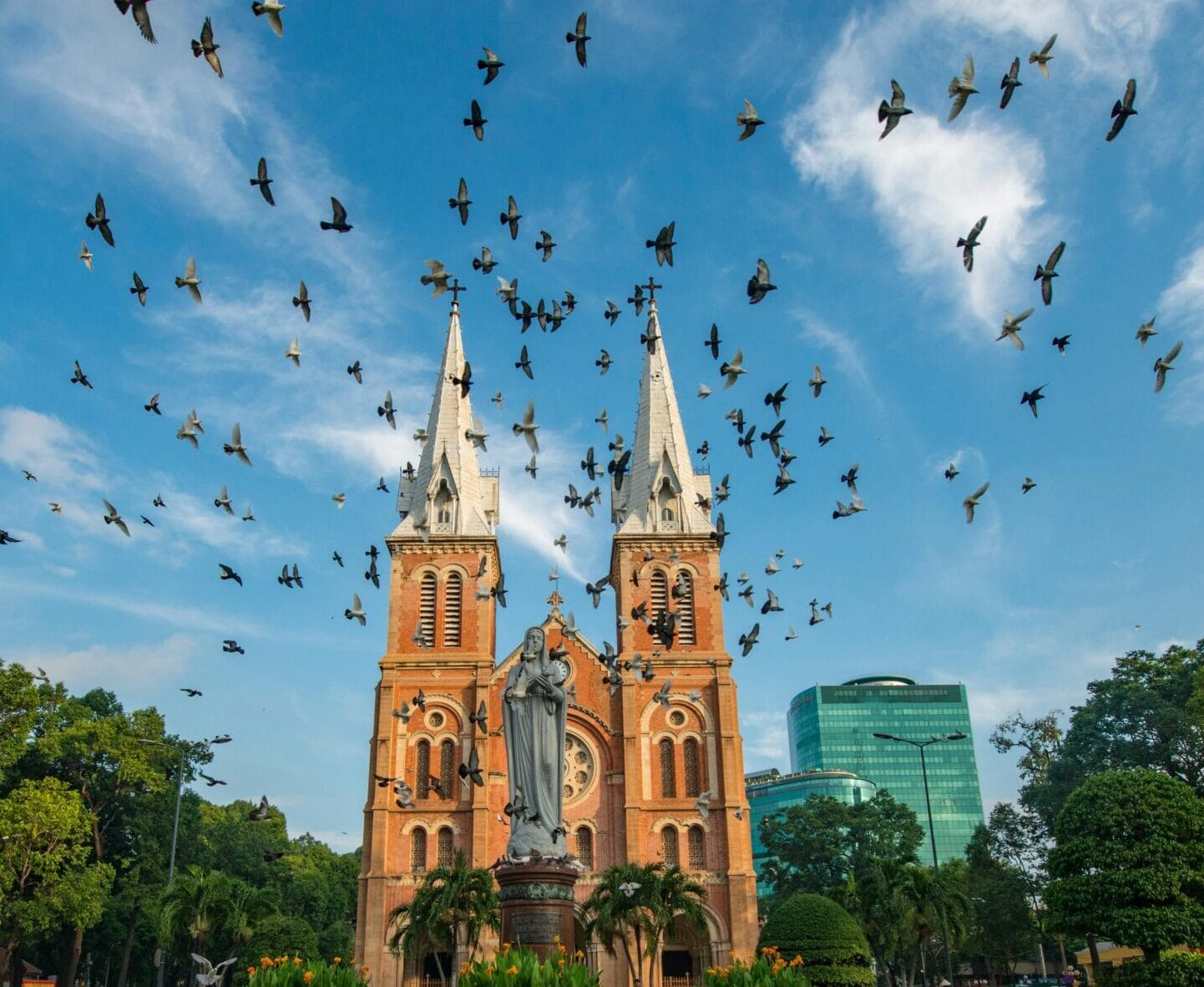 pexels-binh-ho-image-355440-1018478