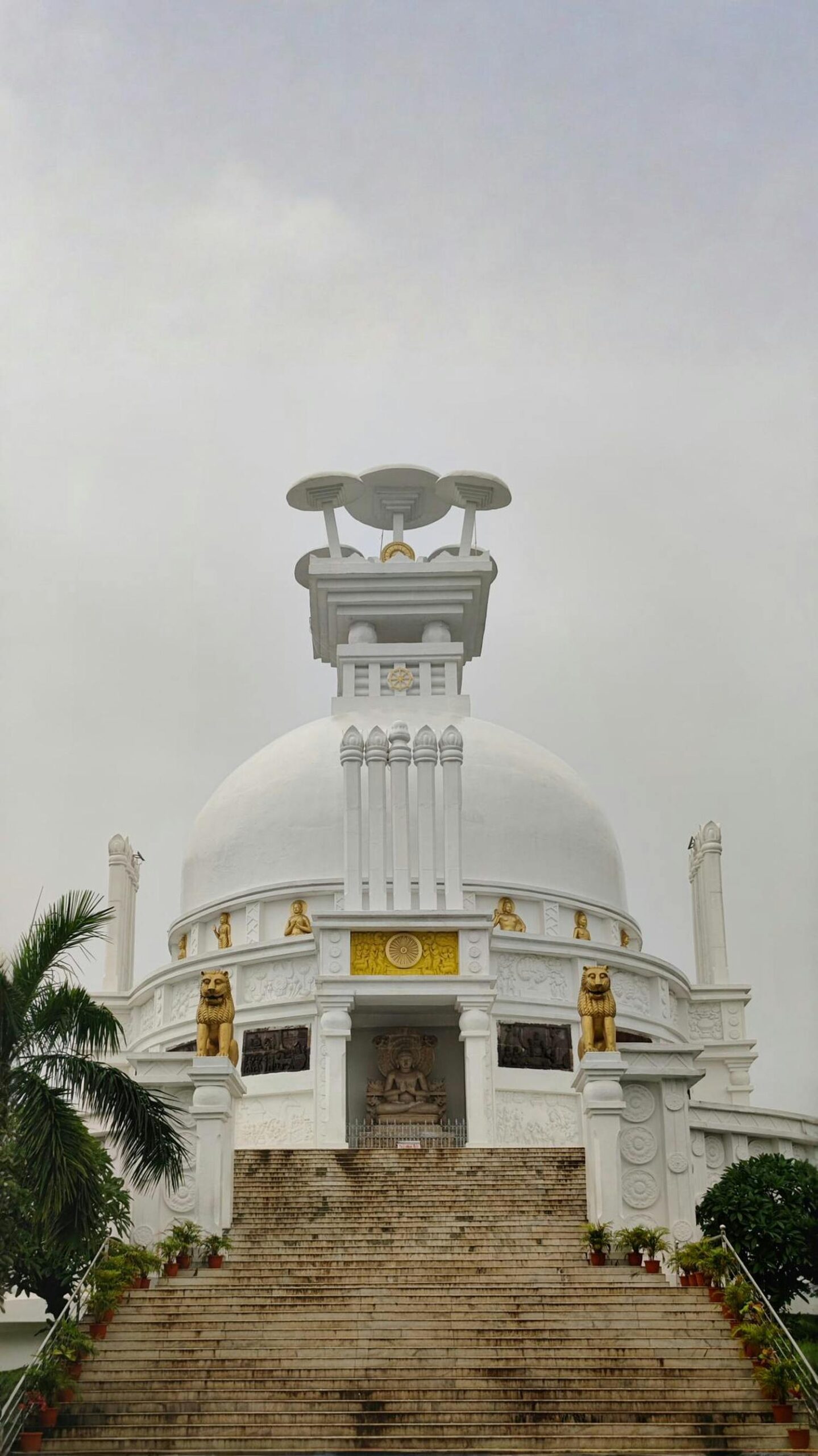 pexels-harsh-aryan-2155607143-33885353