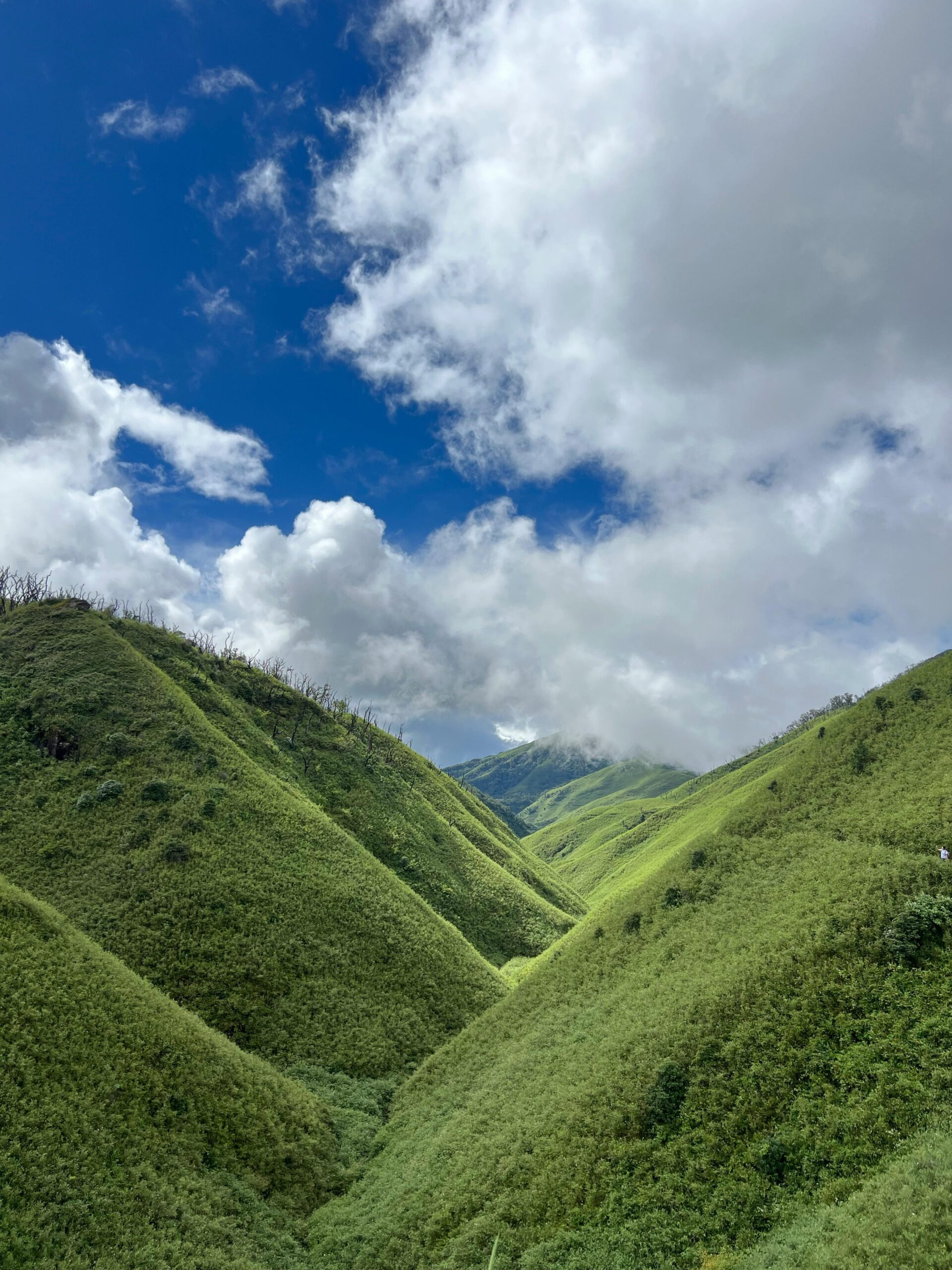 pexels-john-deka-712209191-33604642