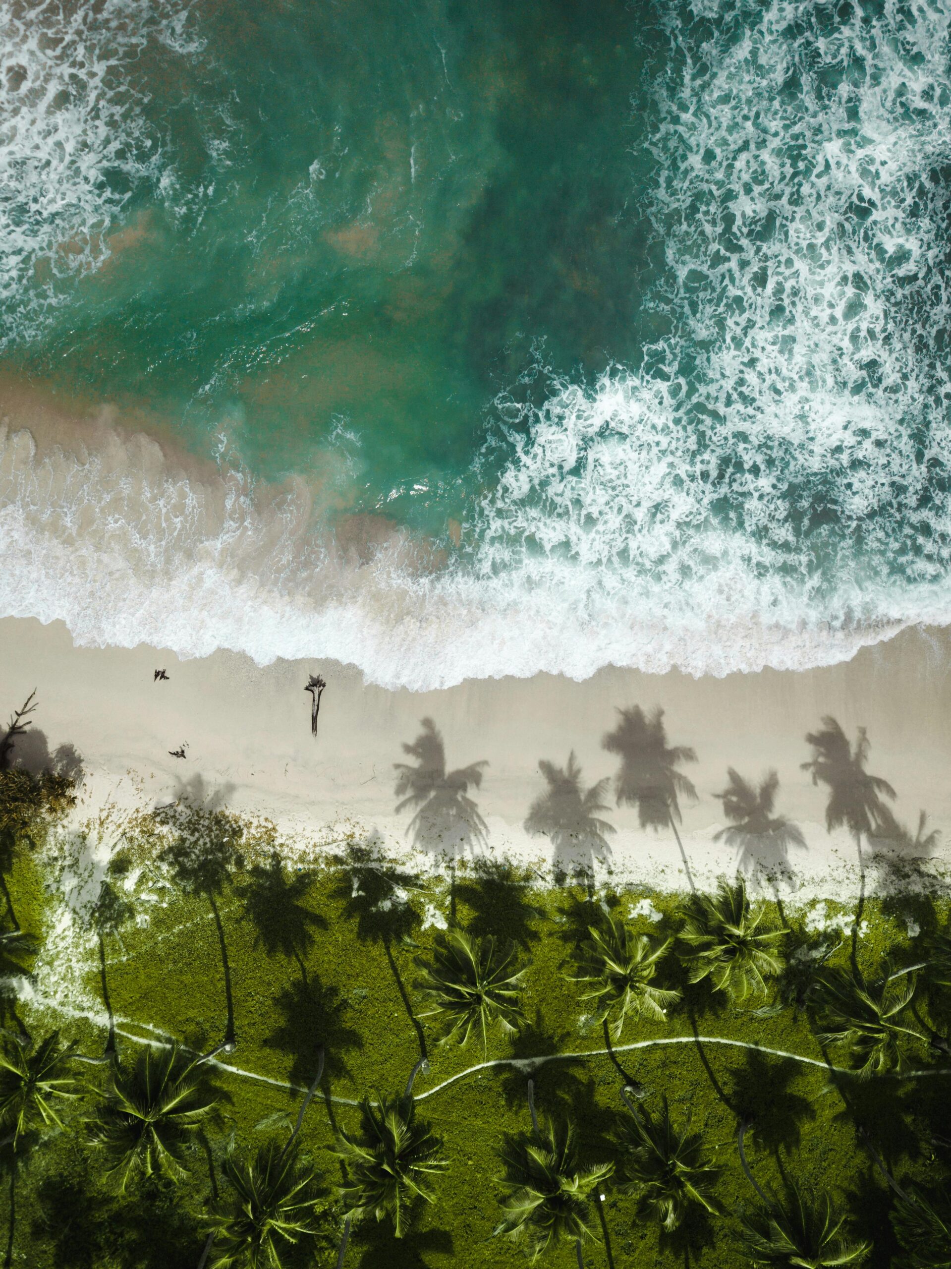 pexels-nabilnaidu-13362953