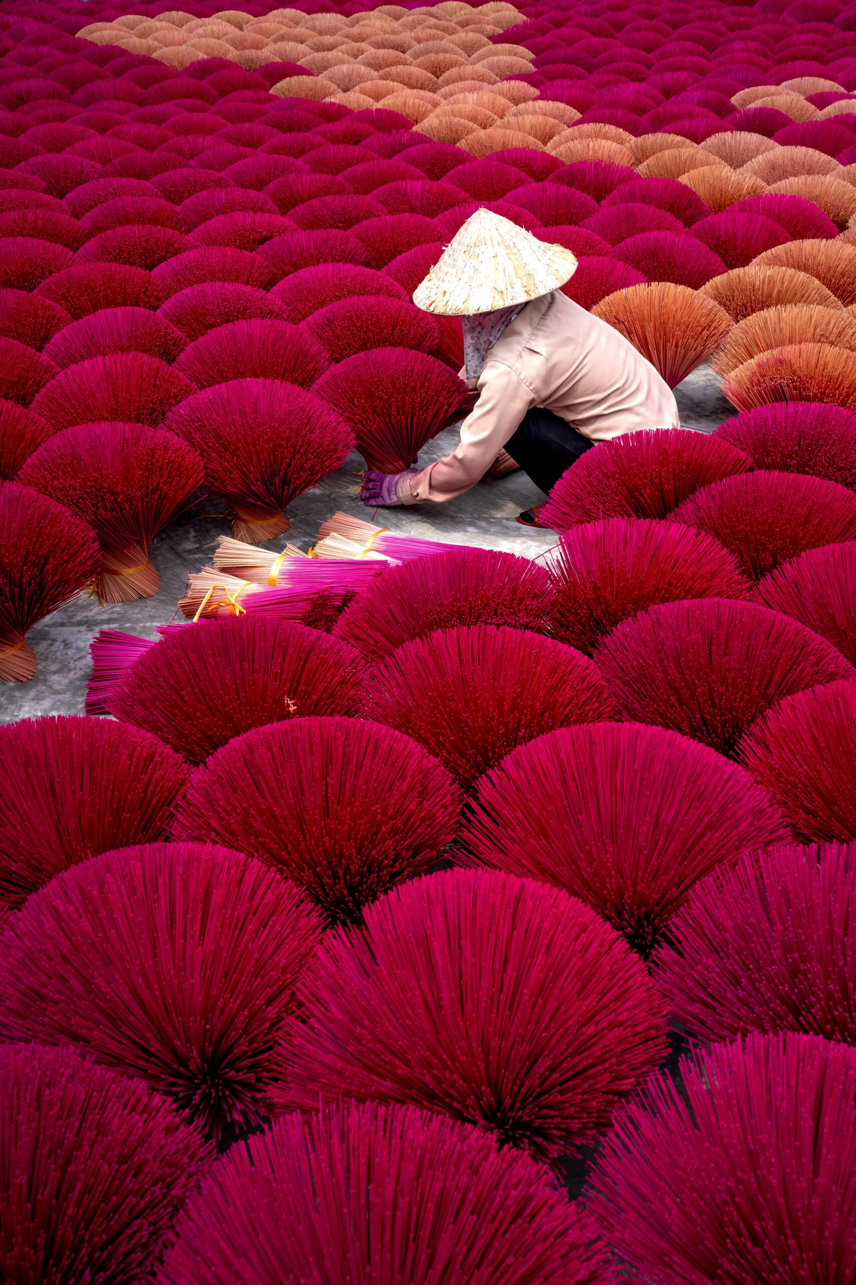 pexels-quang-nguyen-vinh-222549-6346785