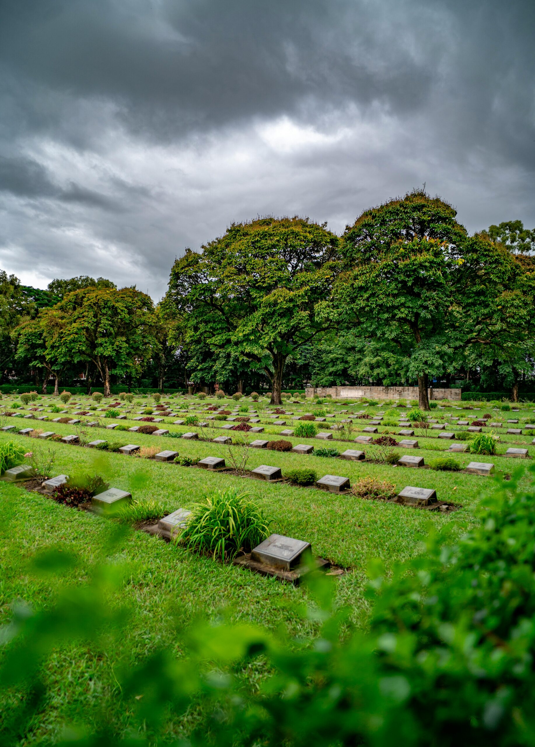 pexels-rems-longjam-216810252-33729269