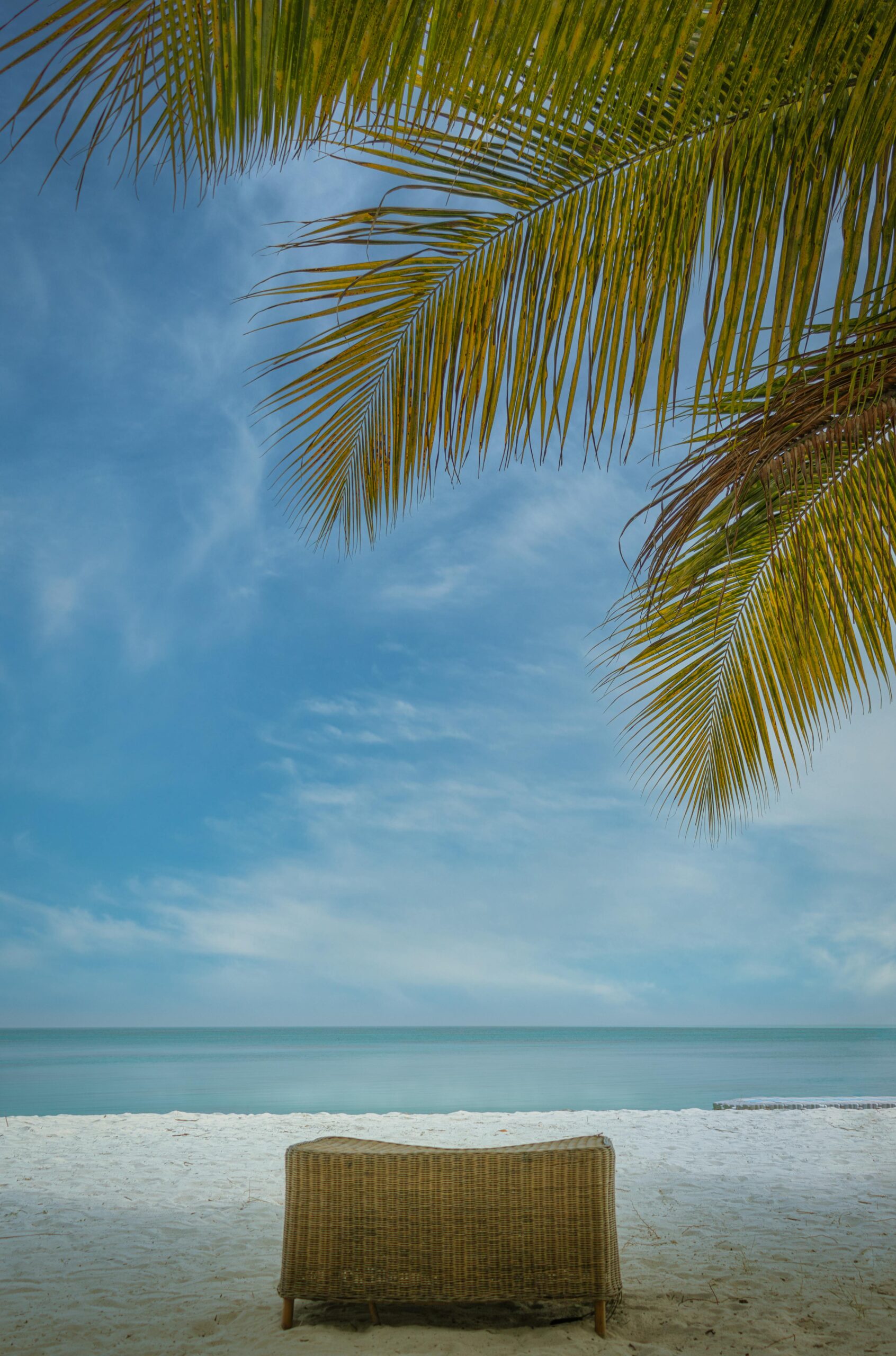 pexels-swagath-mohan-4166767-33819353