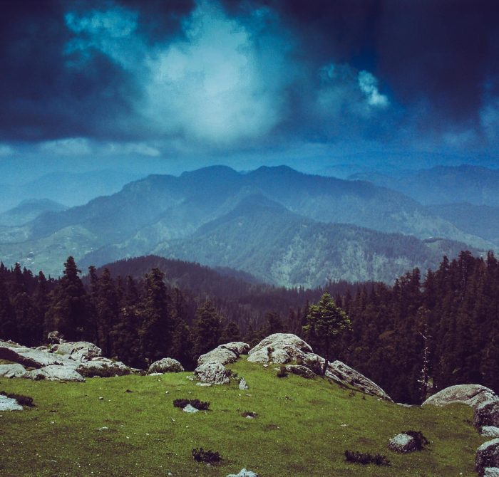 pexels-ashish-sharma-266379-1098395